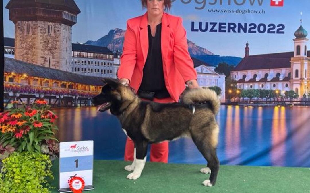 Dogshow Luzern 2022 “Tyra”