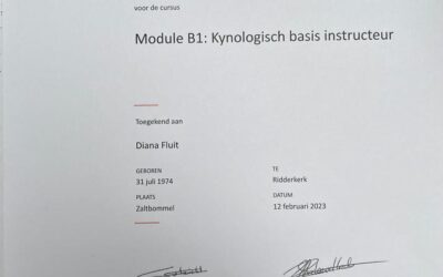 Diana Fluit  behaald Module B1